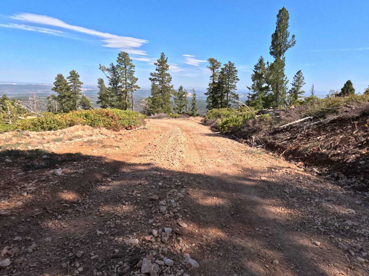 West Rim - FS 30203 photo 6
