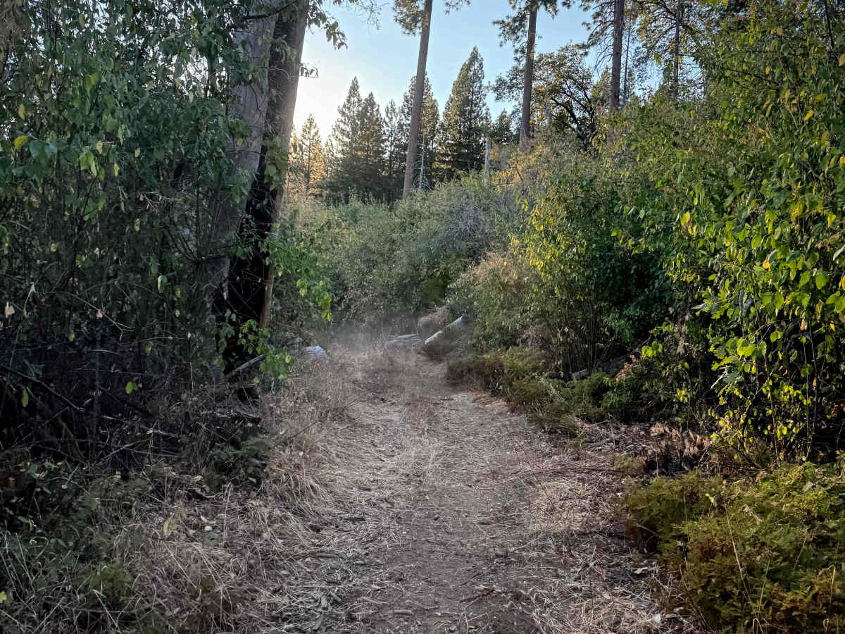 21E238 photo 2