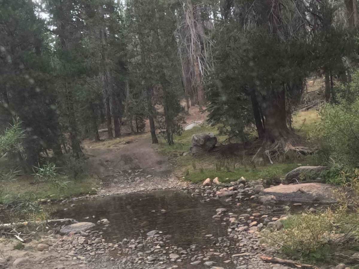 Beasore - A Spur - FS 5s007a trail photo