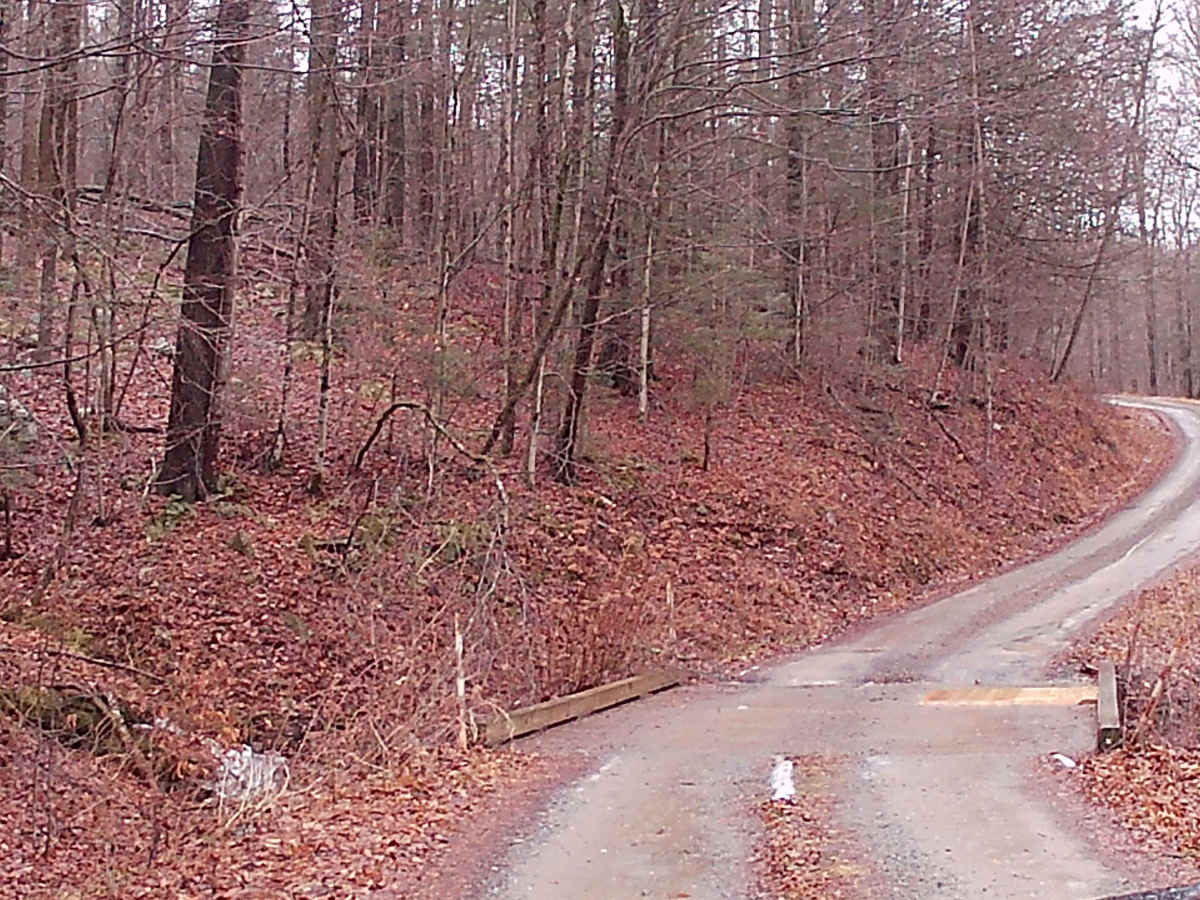 Camp Mountain Road photo 5