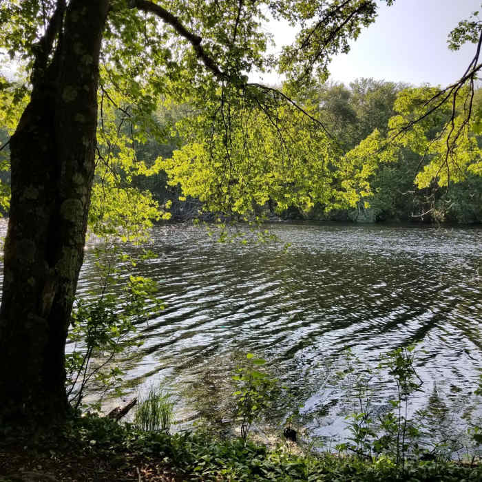 Near Glebe Trail