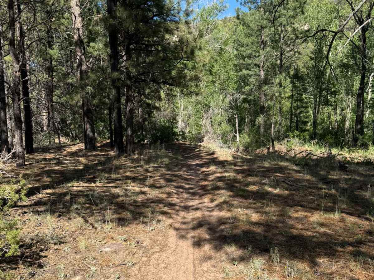 Lower Indian Creek Trail No. 021 photo 4