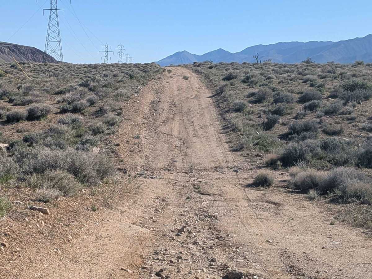 BLM SE781 photo 5