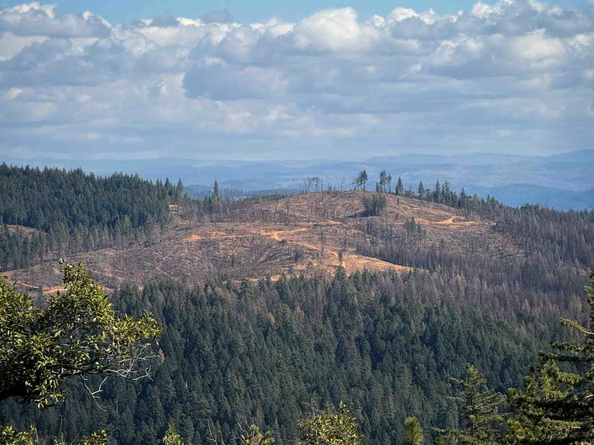 Trail 5-3 (11E54)  photo 5