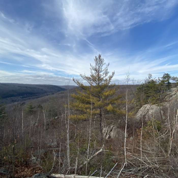 Near Whitestone Cliff Trail (Blue)