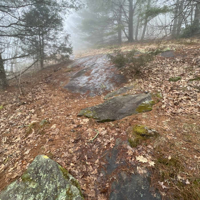 Near Rock Mountain Trail