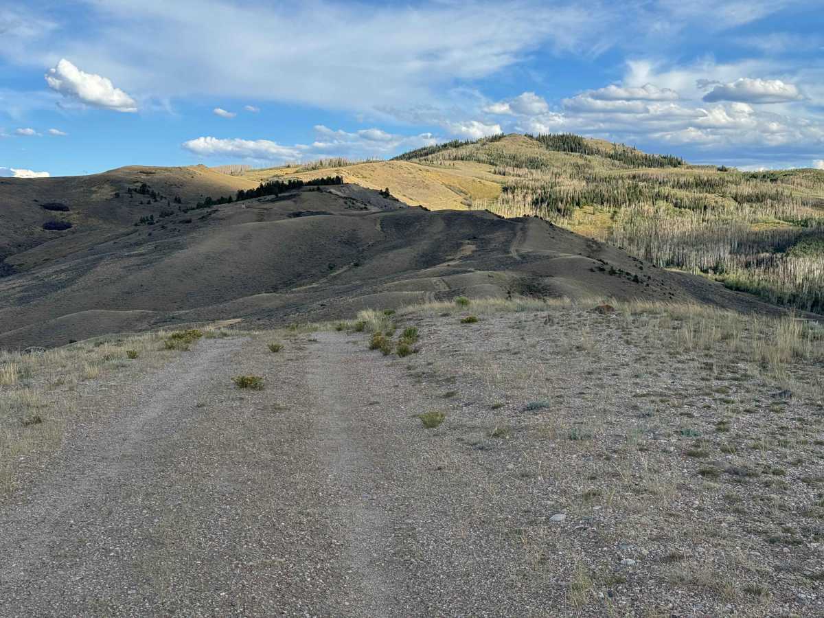 BLM 8530  photo 6