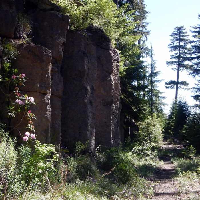 Near Crabtree Valley Hike
