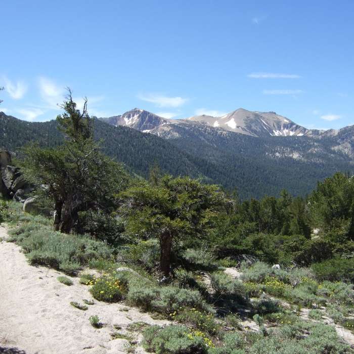Freel Peak from Monument Pass. Near Kingsbury to Star Lake on the Tahoe Rim