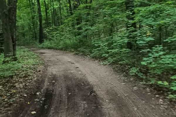 De Mull Creek Trail