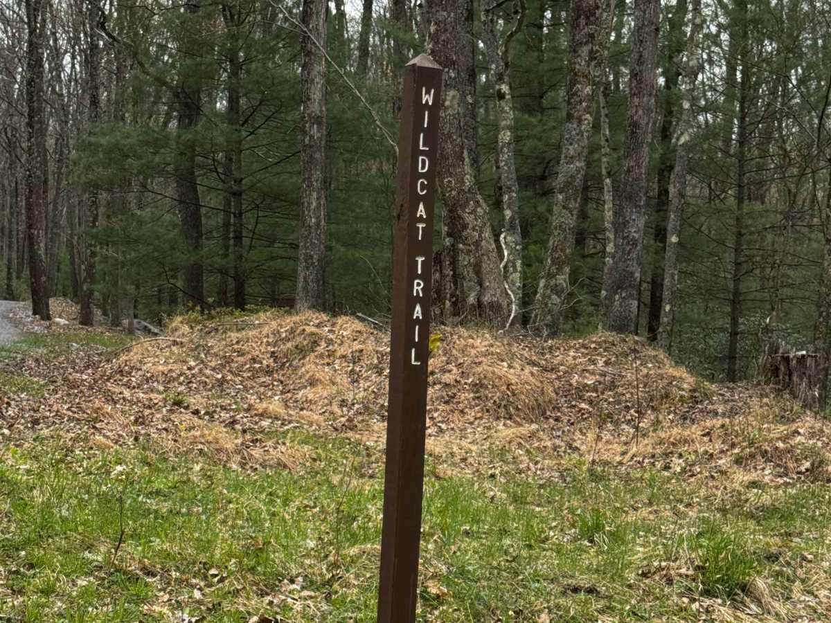 Wildcat Trail photo 2