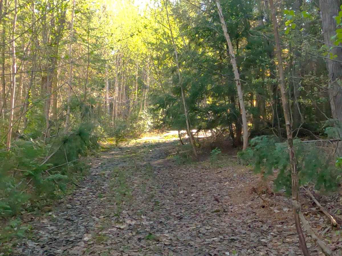 West Harvey Road photo 4