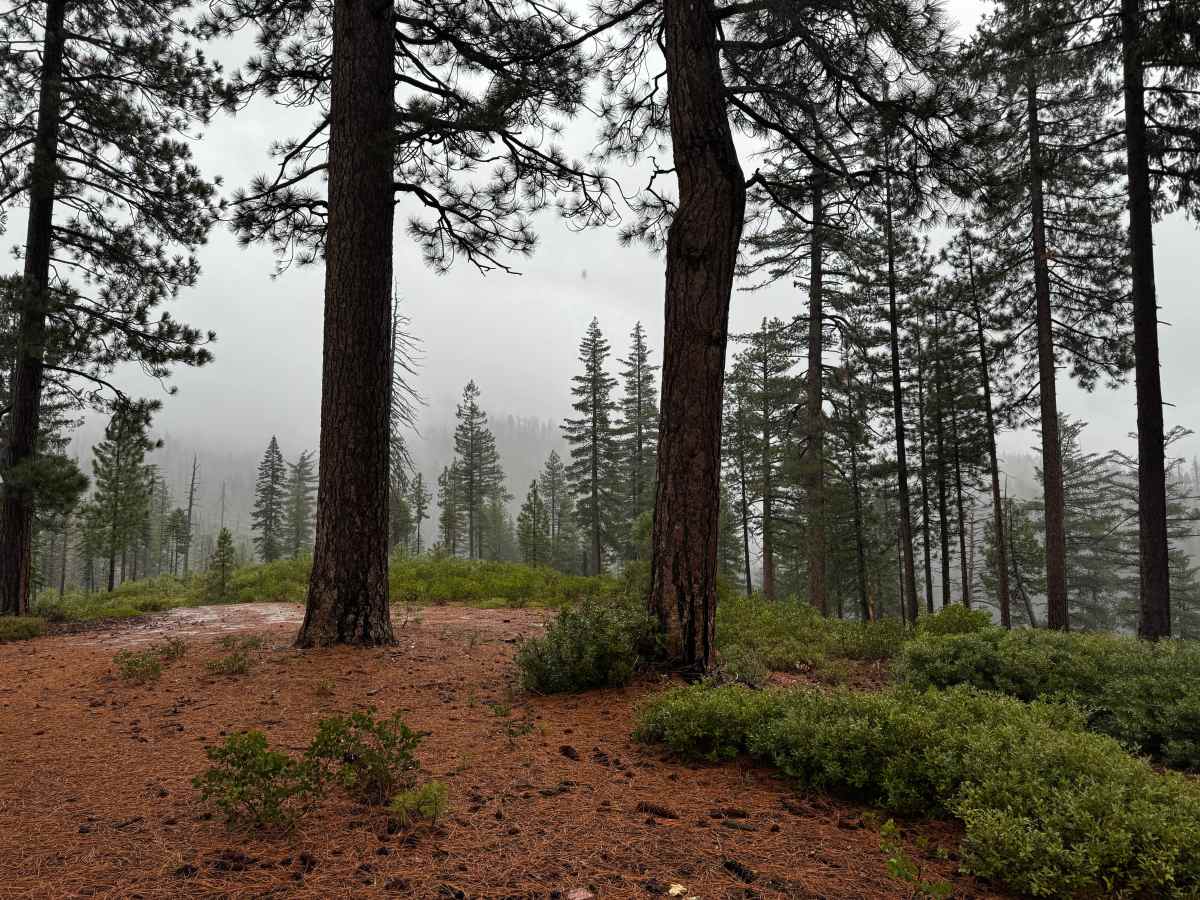 Travis Trail photo 4