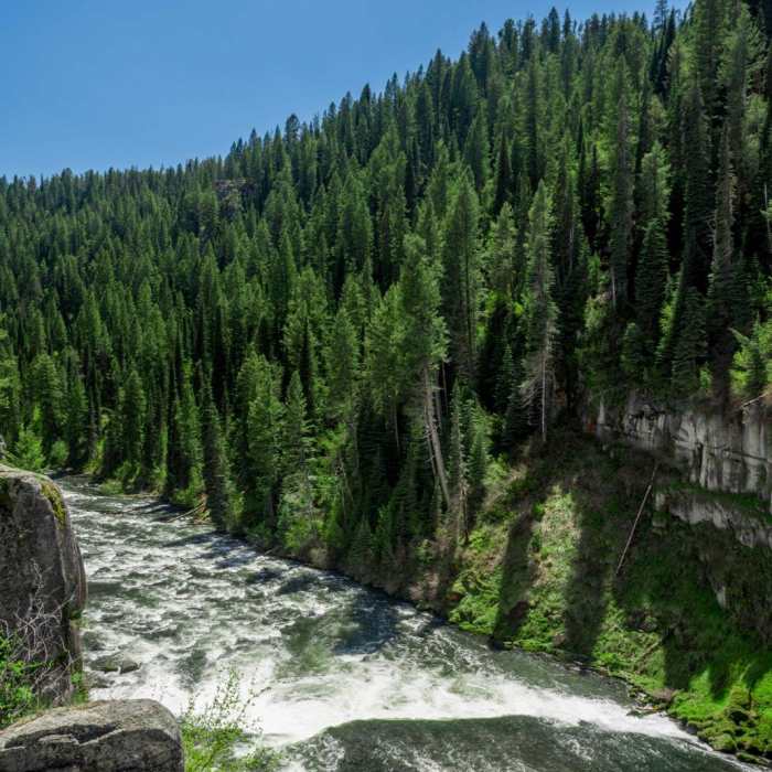 Near Mesa Falls Near Mesa Falls