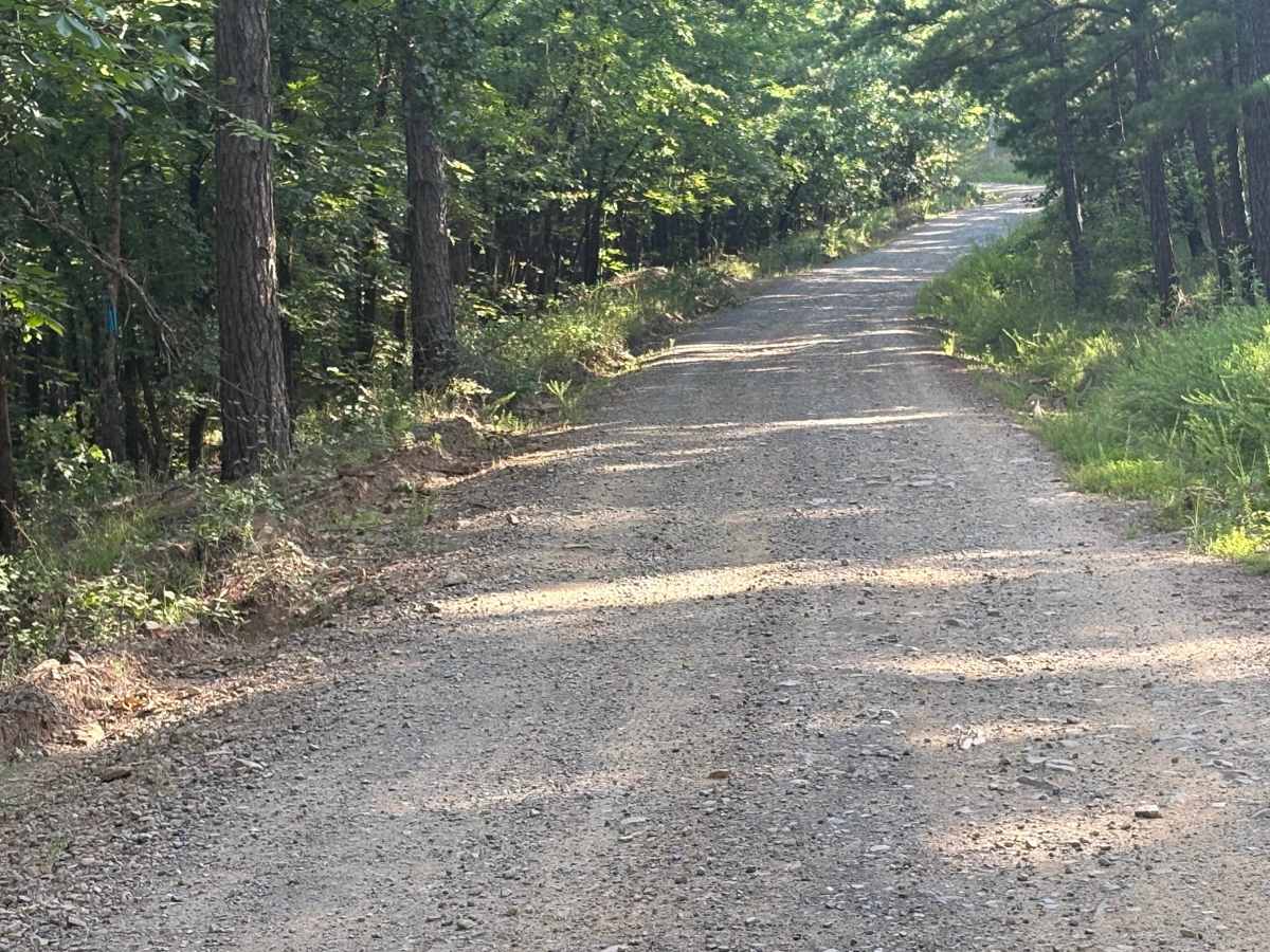 Lower Haw Creek Road photo 3