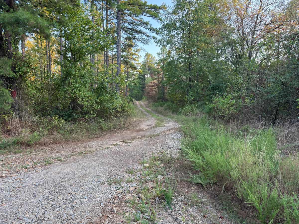 Rattler trail photo