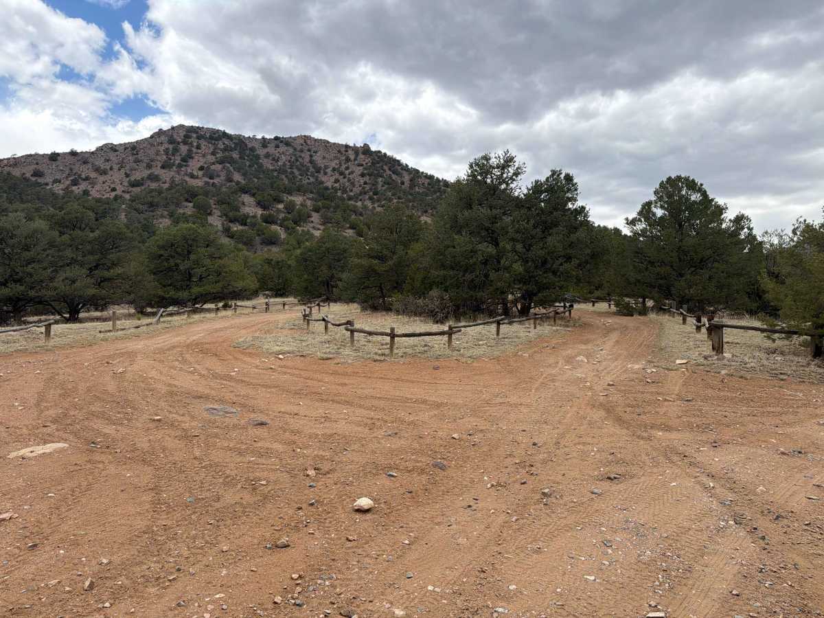 BLM 6021 photo 2