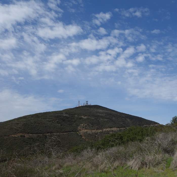 Near Nighthawk Trail