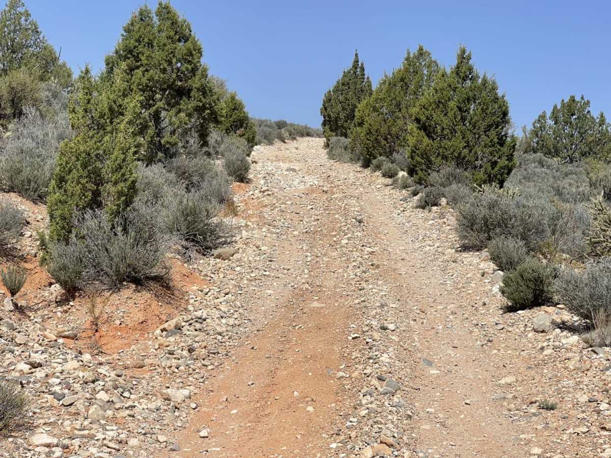 Coral Canyons Rocky Revenge photo 6