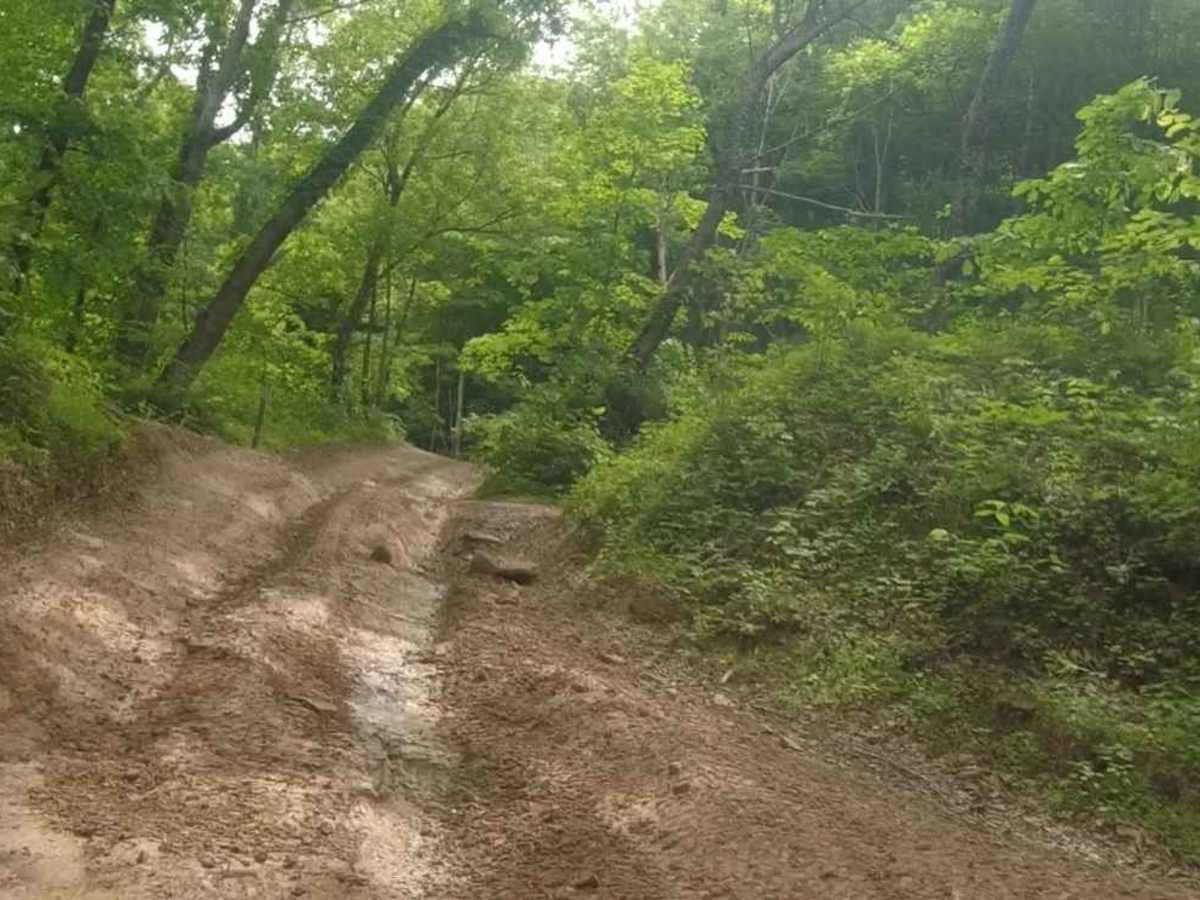 Honey Trace Hill photo 4