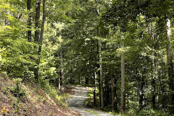 Cove Branch Road