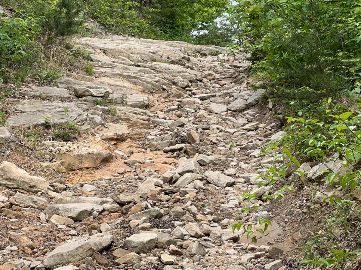 Counterfeit Branch Trail - Q64 trail photo