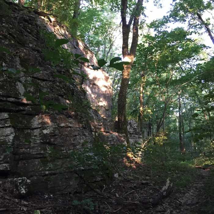 Rock wall at the top of the Toll Gate Trail. Near Cold Springs Trail