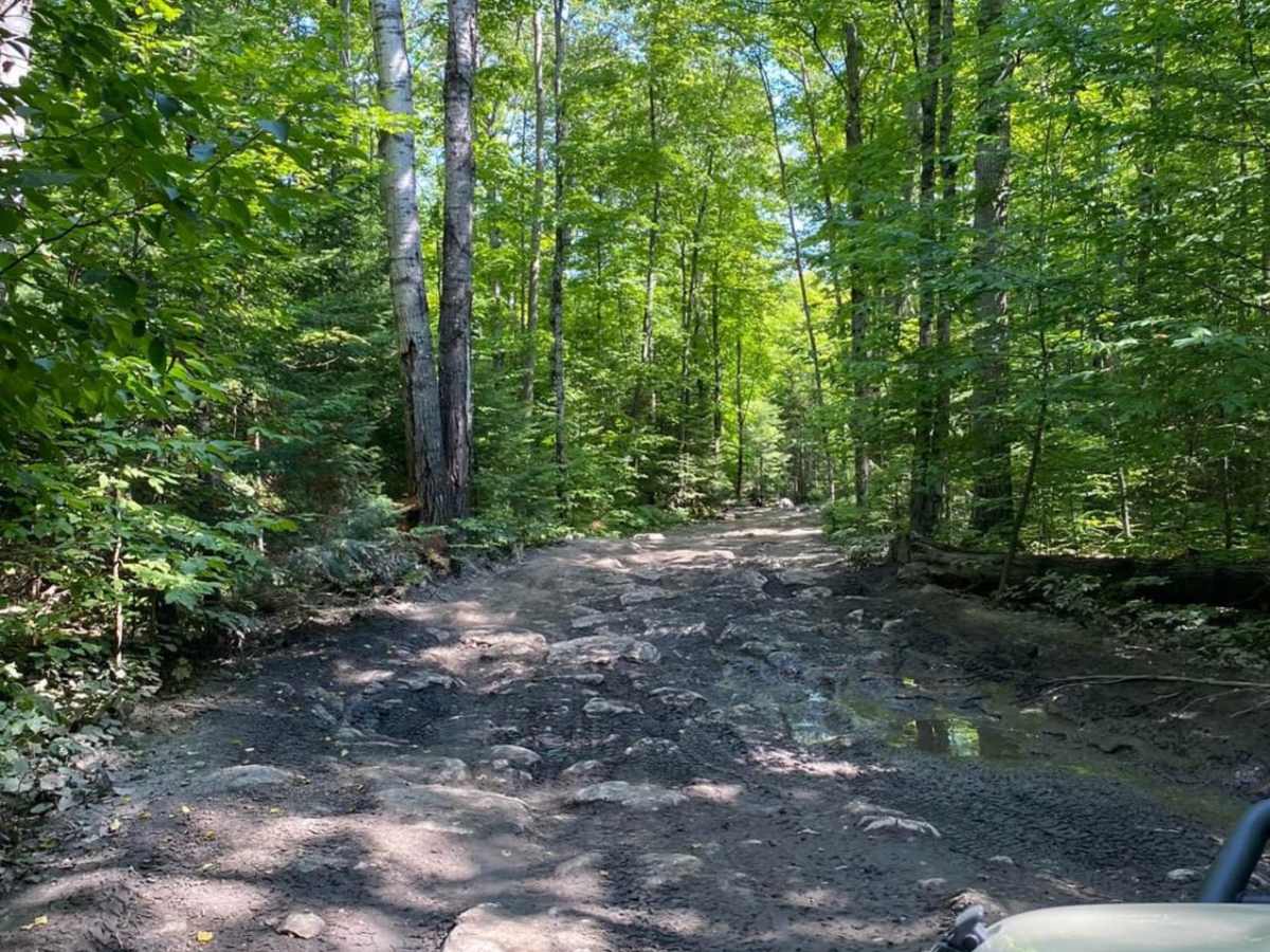 Conners Hole/Log Jam trail photo