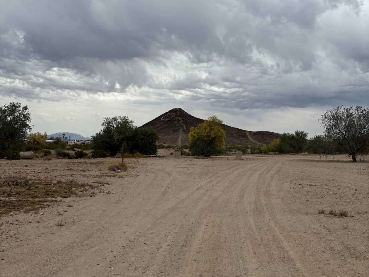 LP227 photo 2