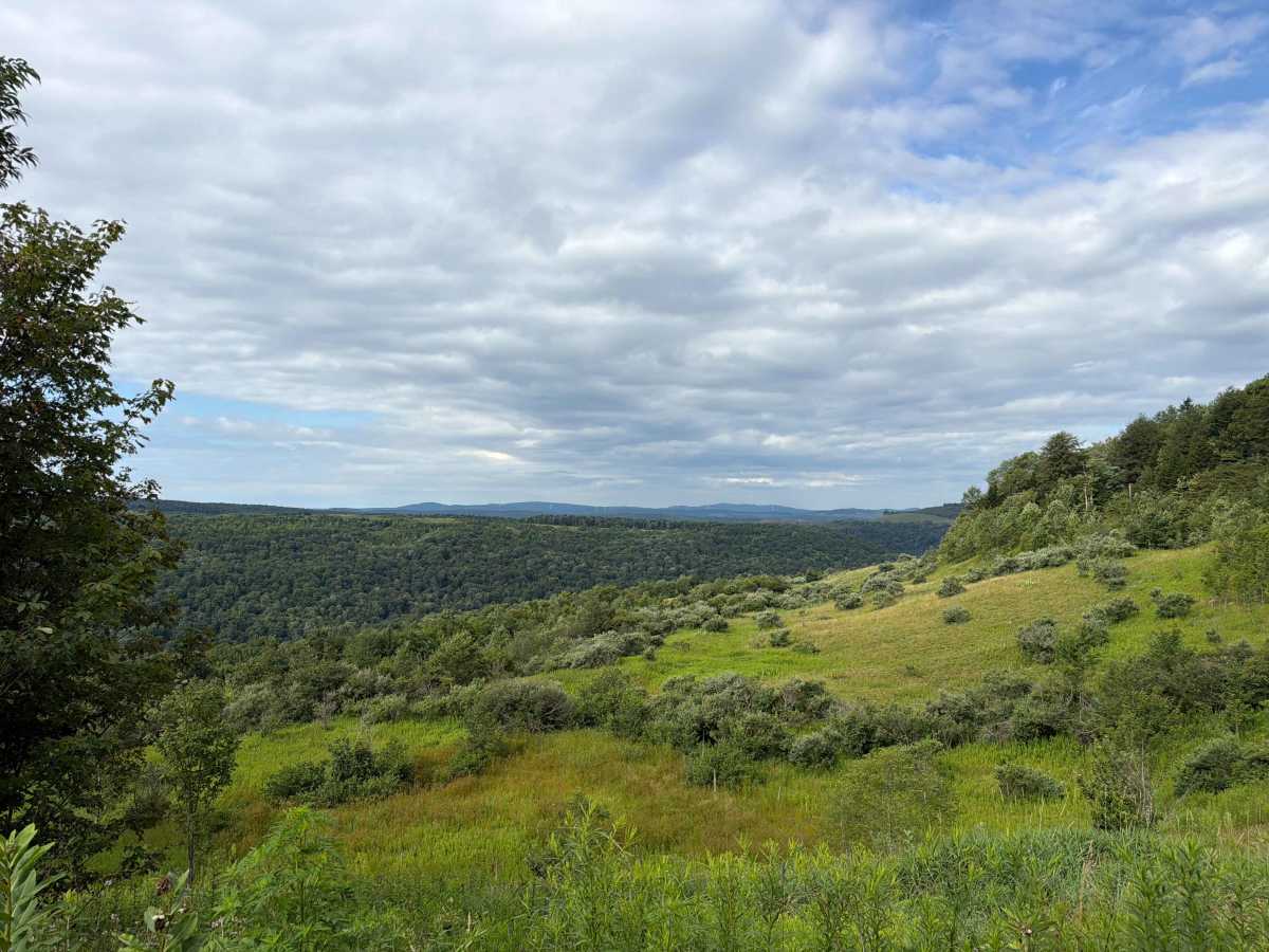 South Fork Cherry Road photo 3
