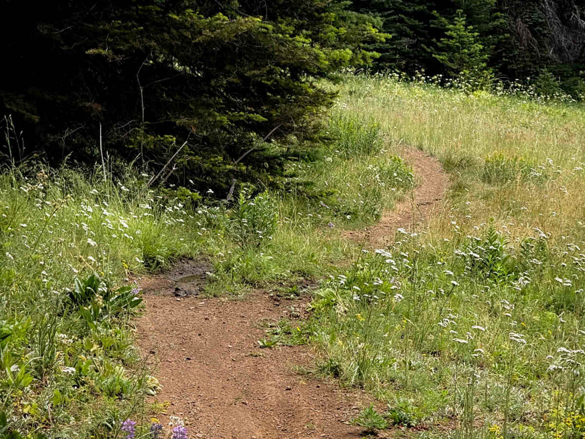 Frost Mountain Lookout - 1366.1 photo 4
