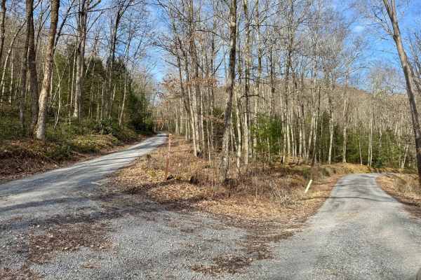 Cole Run Road