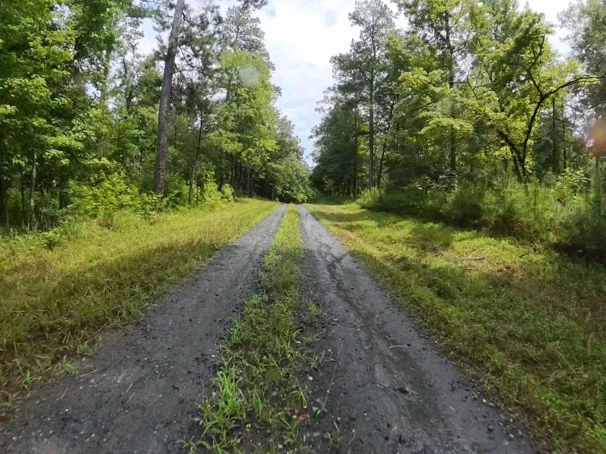 Anderson Bottoms Road photo 3