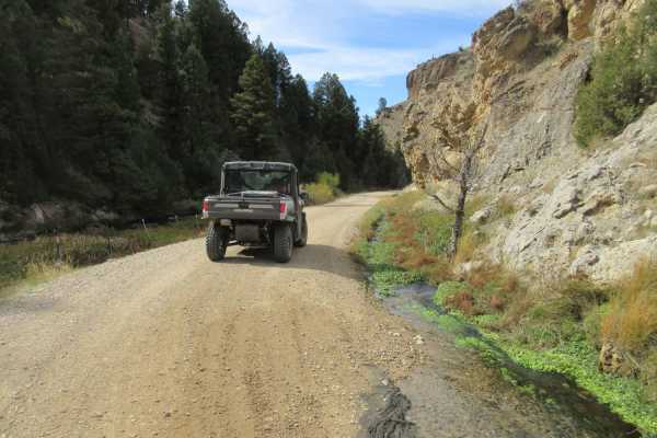 Warm Springs Creek Road (FA 163)/Cow Camp Road (FS 1234)