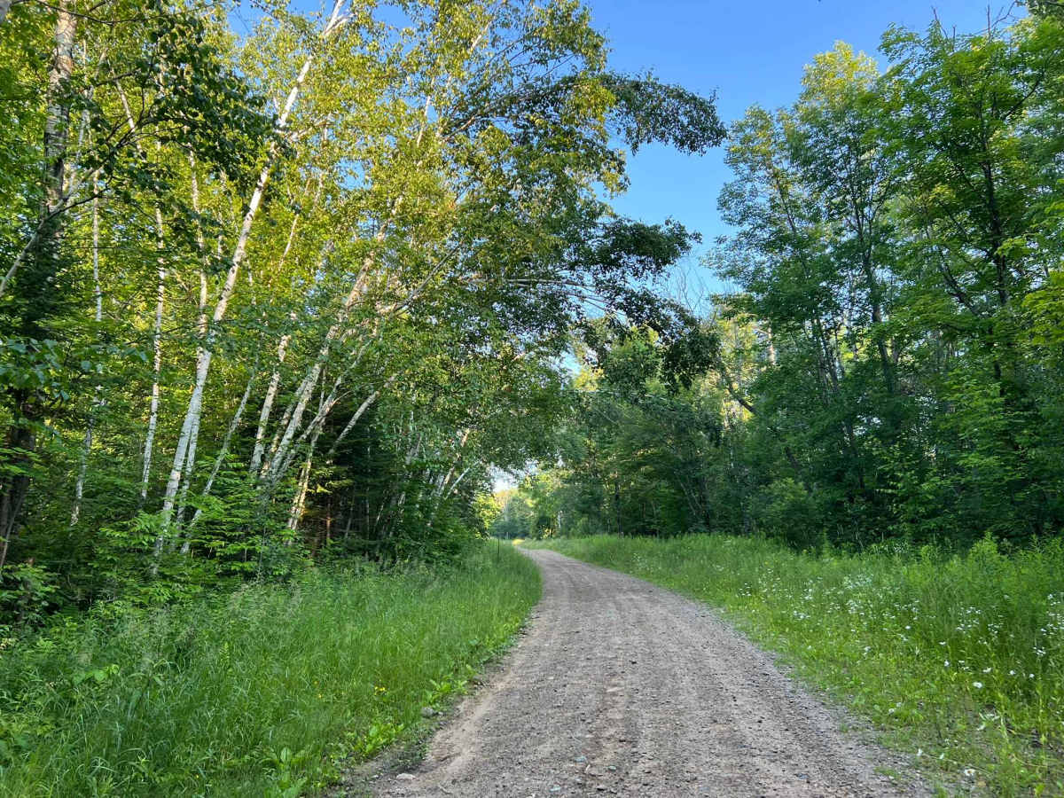 Spring Pond Road photo 6