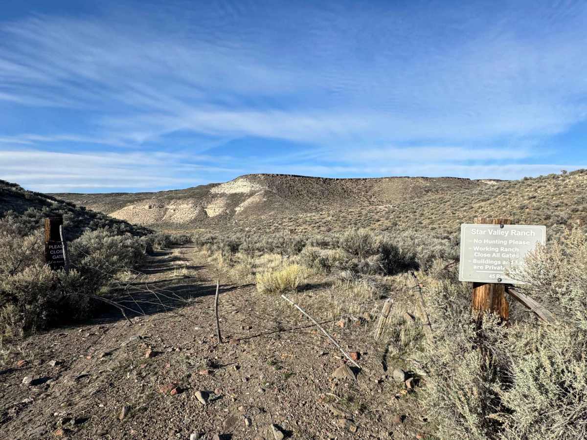 Nevada Crossing - BLM 5625 trail photo