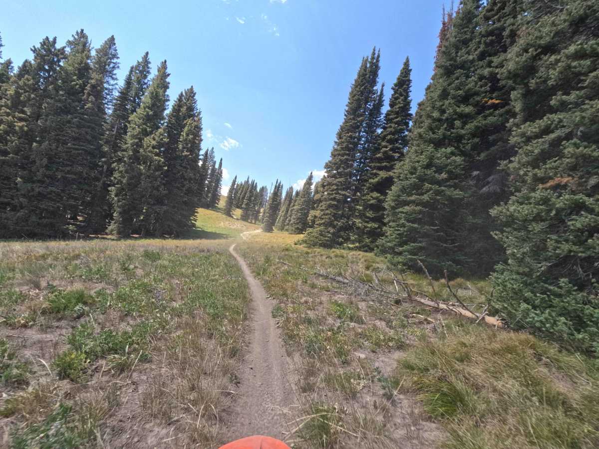 Mule Creek - FS 7198 photo 6