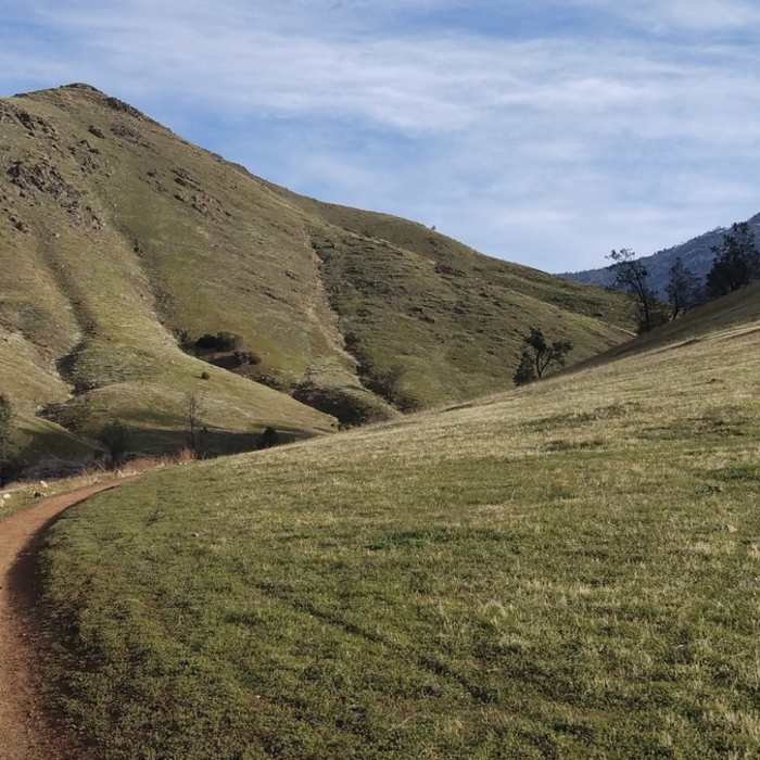 Near Cannell Meadow