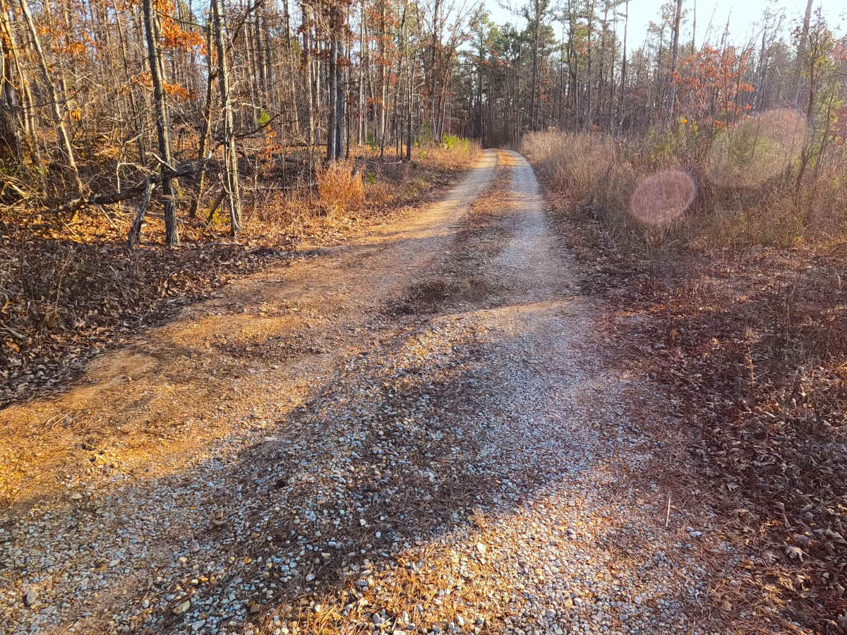 Greasy Creek - FS 427 photo 6
