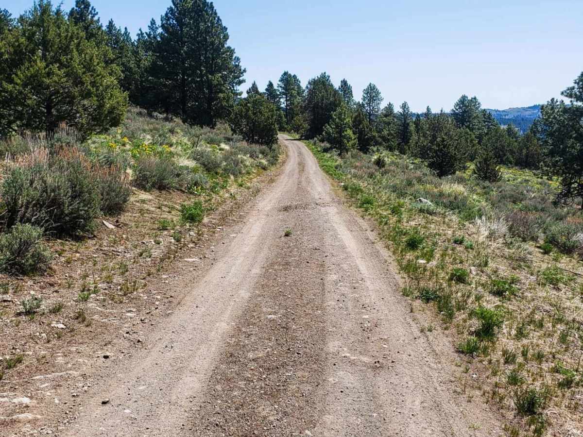 Shadow of Calamity trail photo