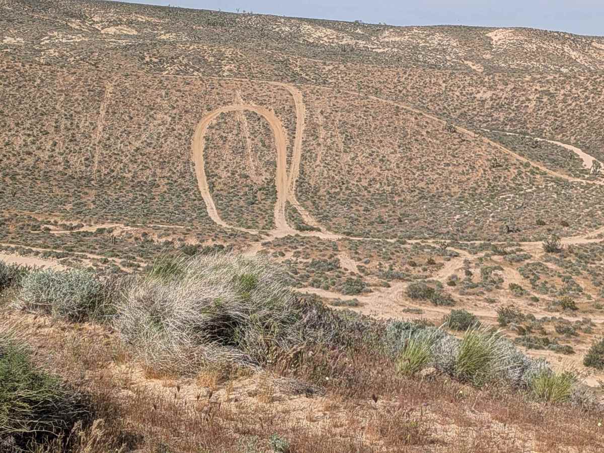 BLM SC186 photo 2