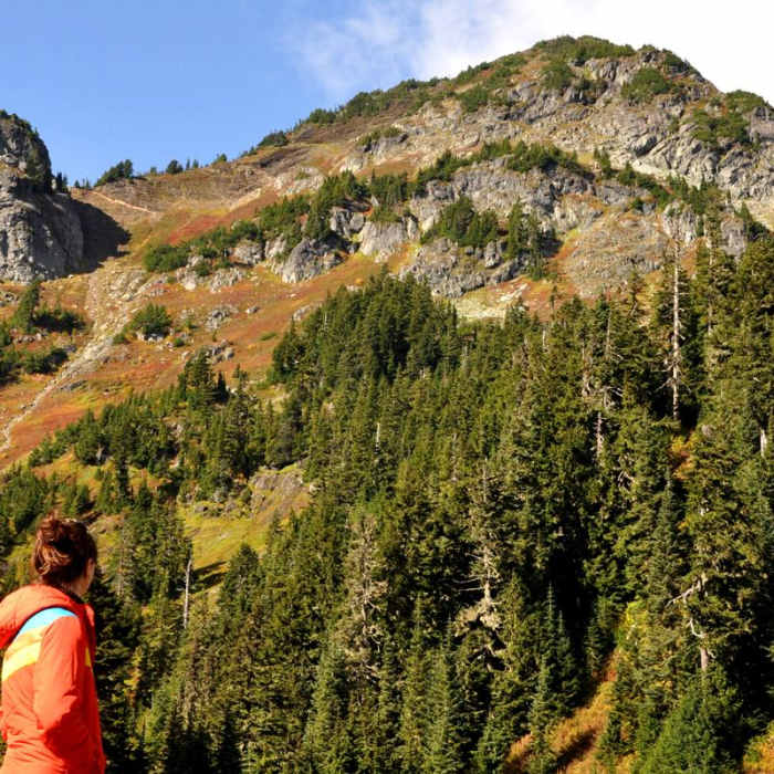 Near Winchester Mountain Hike