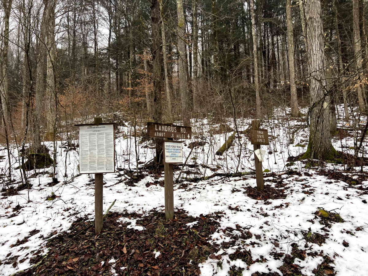 Landrus Road photo 6