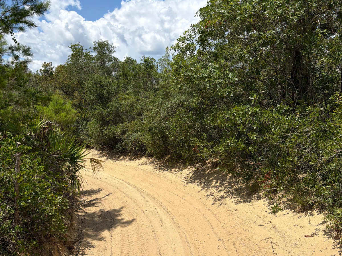 Centennial SW - FS 520 trail photo