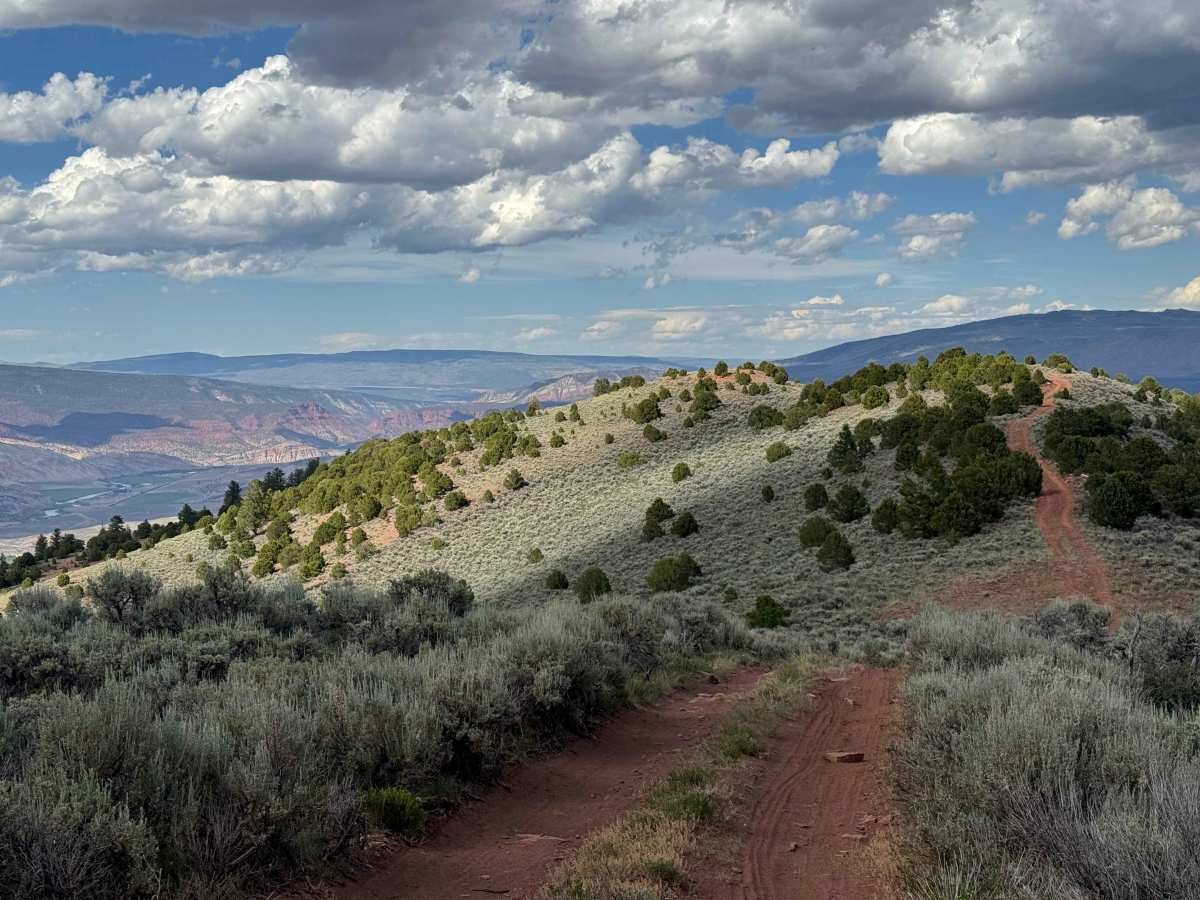 BLM 8462 photo 4