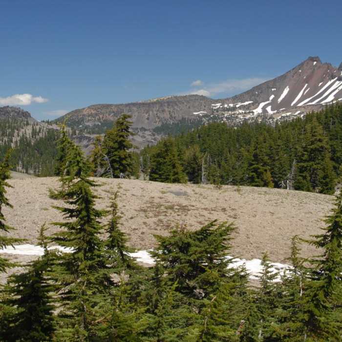 Near Moraine Lake in the Three Sisters Wilderness