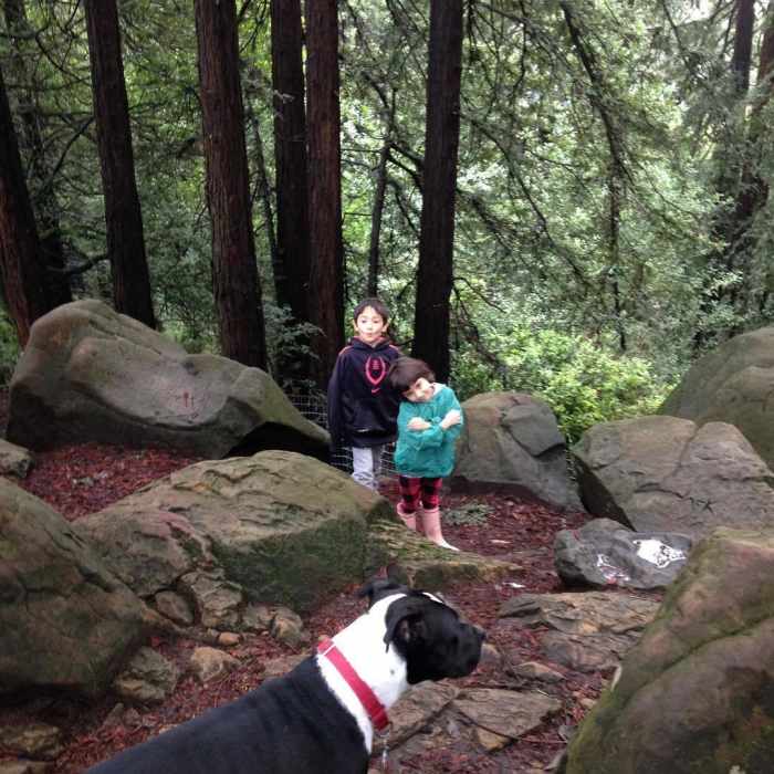 Near French Trail