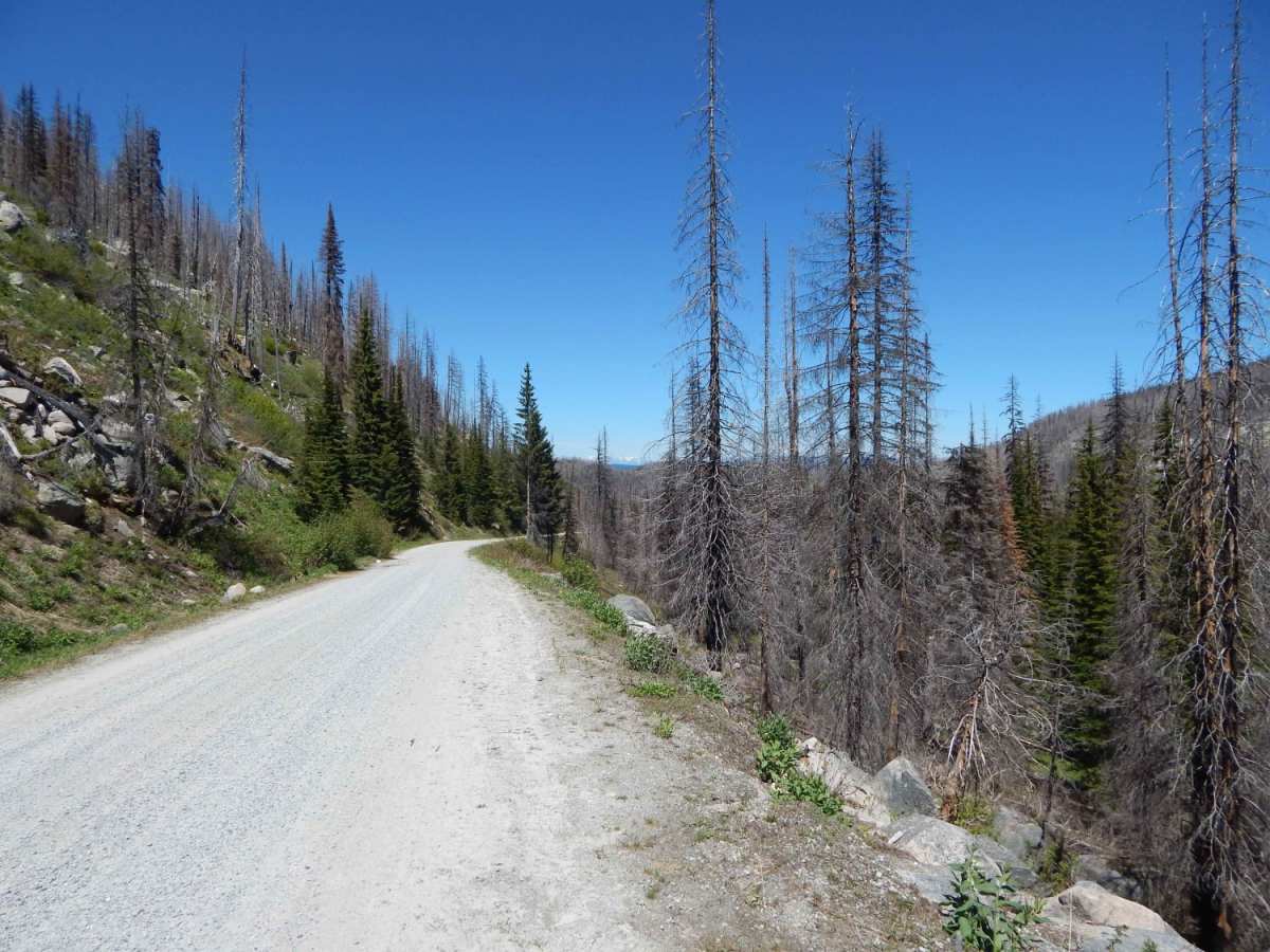 Elk Meadows - Packers Meadows photo 4