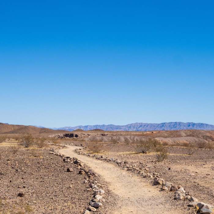 Near Las Vegas Wetlands