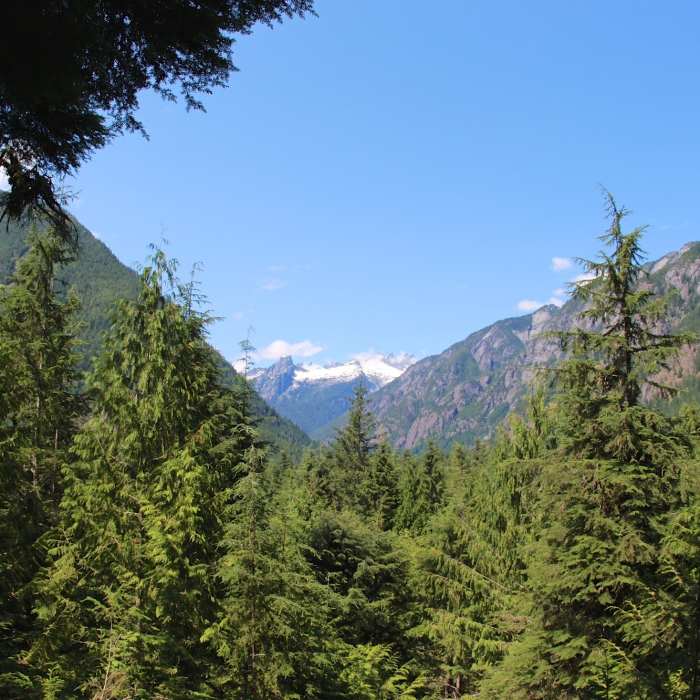 The Picket Range. Near River Loop
